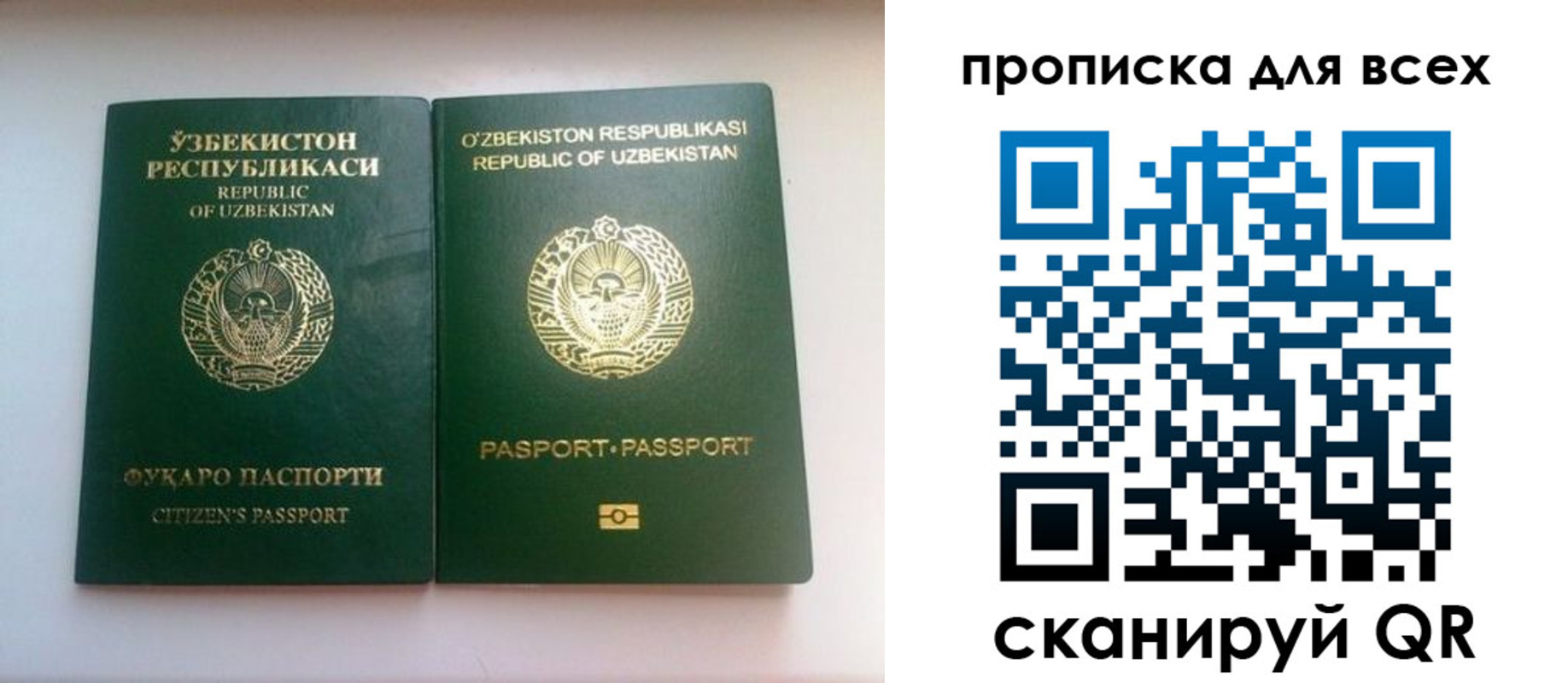прописка для школы в Избербаше